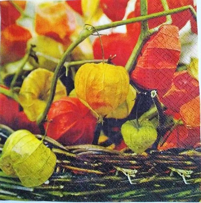 Decoupage Napkin/ Tissue Papers - 33cm by 33cm - Floral Background