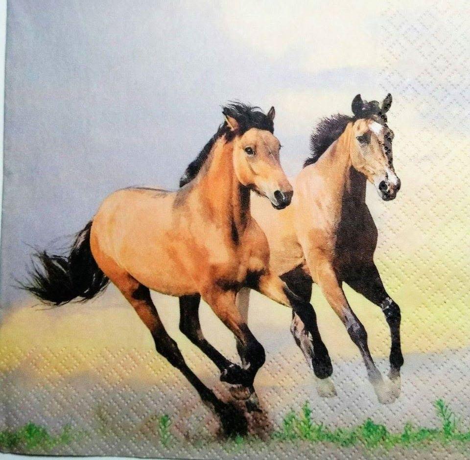 Decoupage Napkin / Tissue papers - Race