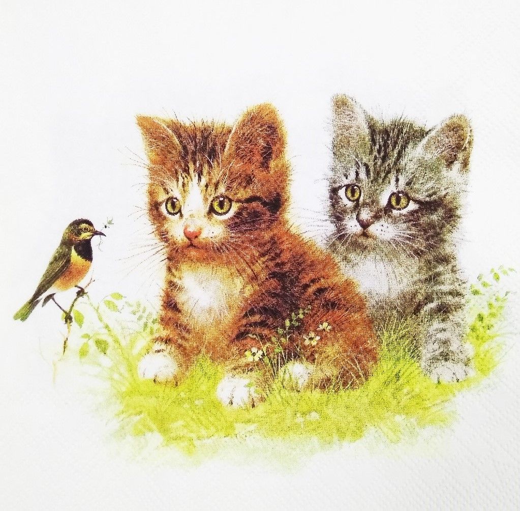 Decoupage Napkin / Tissue papers - 33cm by 33cm - GT1012