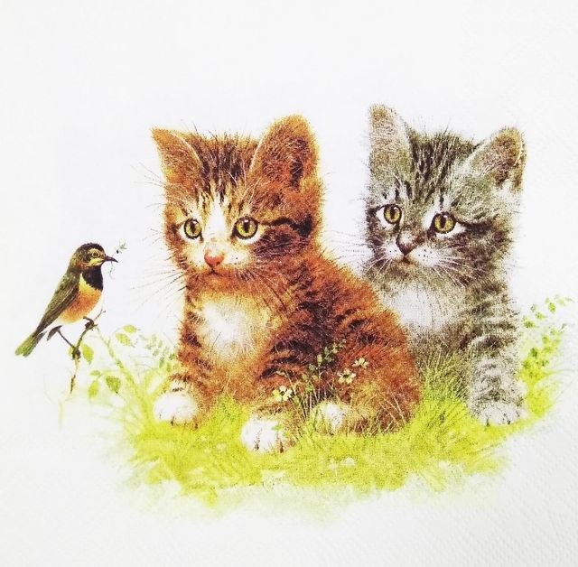 Decoupage Napkin / Tissue papers - 33cm by 33cm - GT1012