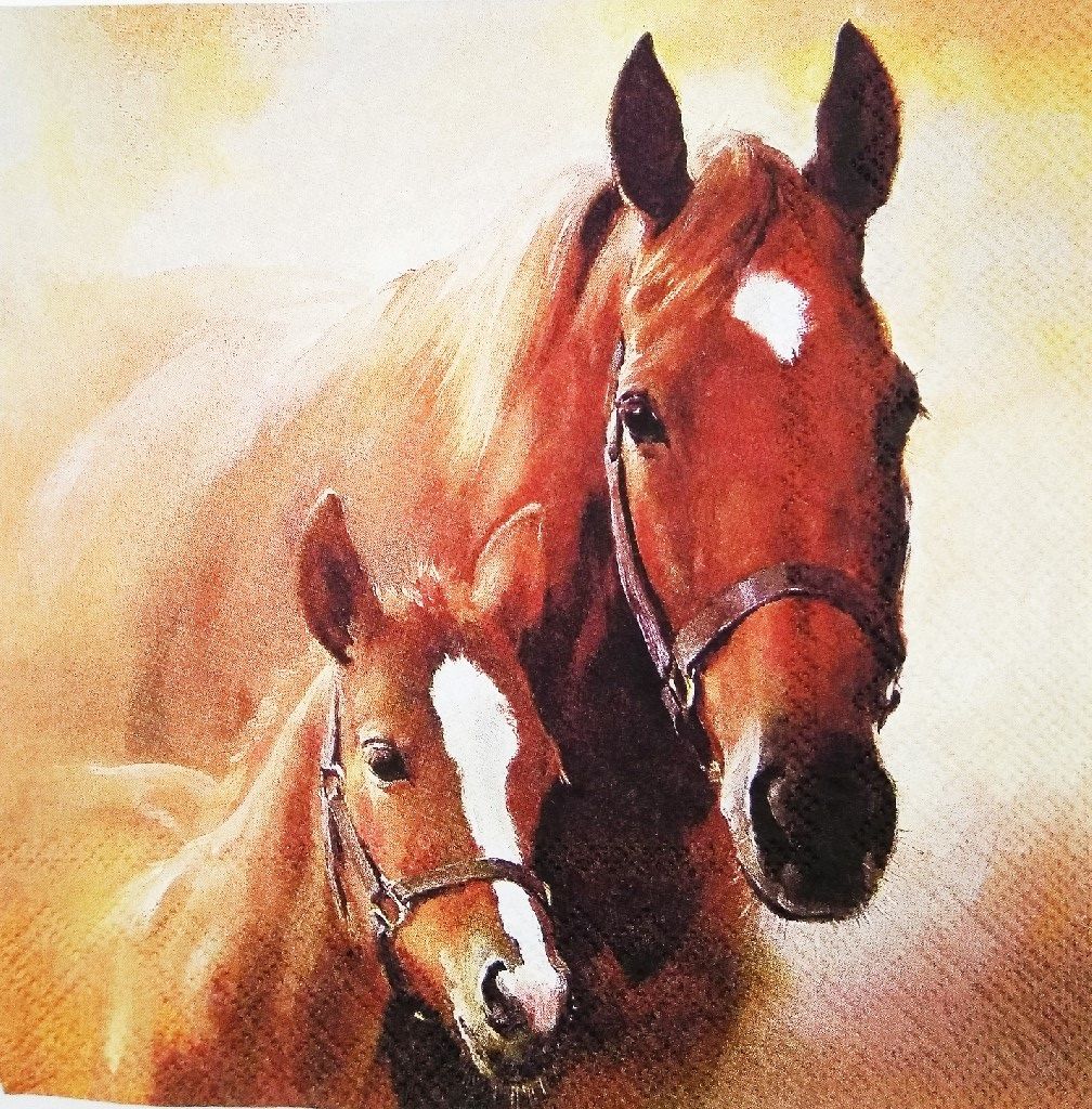 Decoupage Napkin / Tissue papers - 33cm by 33cm - GT1096