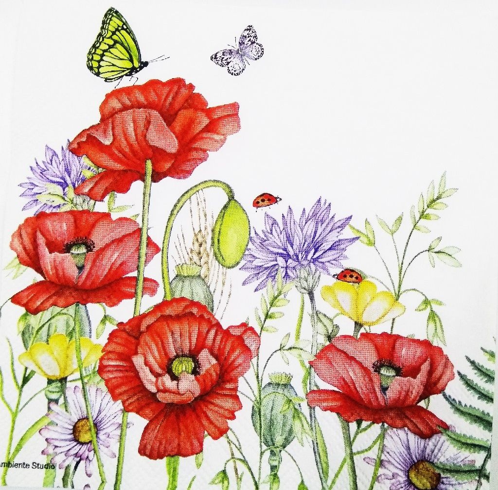 Decoupage Napkin / Tissue papers - GT1110