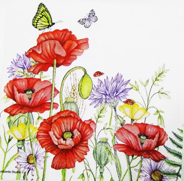 Decoupage Napkin / Tissue papers - GT1110