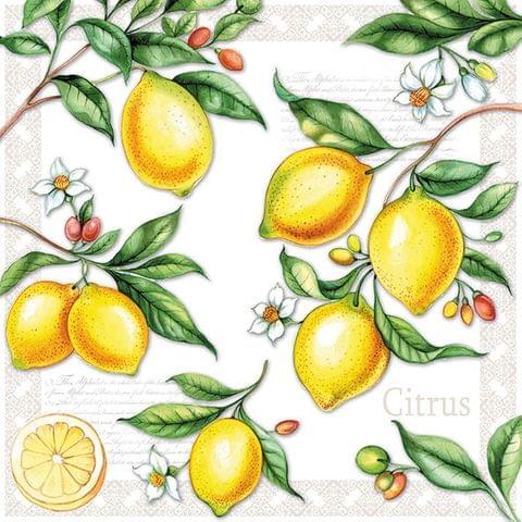 Decoupage Napkin / Tissue papers - 33cm*33cm - GT1533