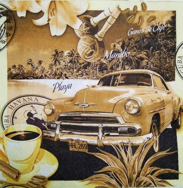 Decoupage Napkin / Tissue papers - 33cm by 33cm - GT1648