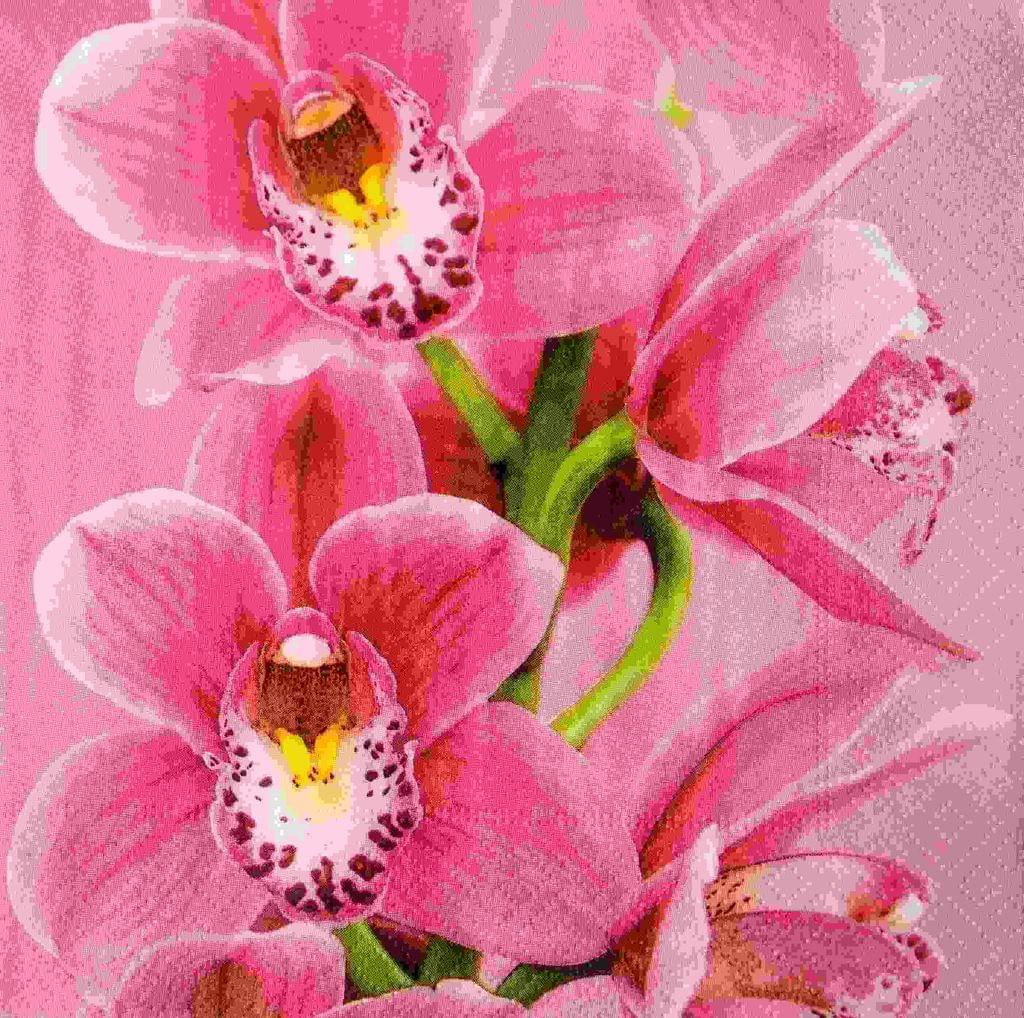 Decoupage Napkin / Tissue papers - GT1801