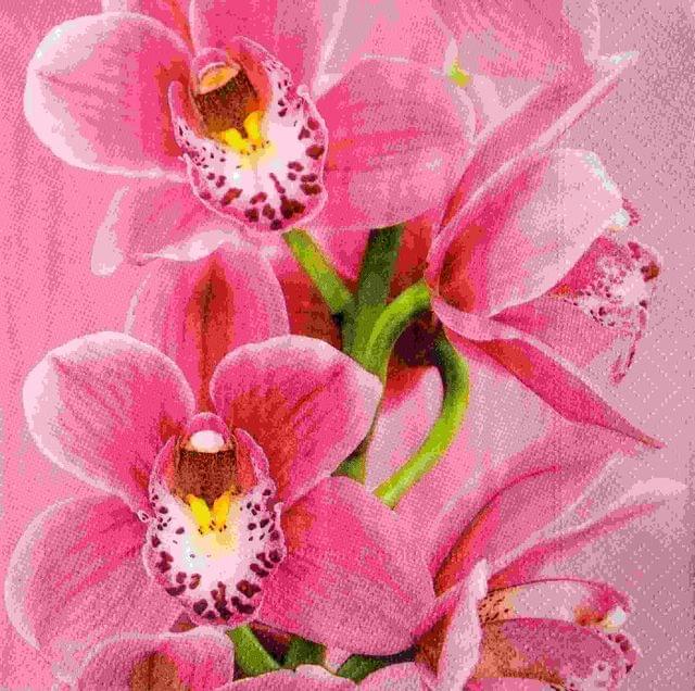 Decoupage Napkin / Tissue papers - GT1801