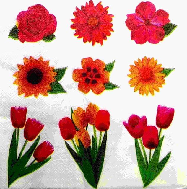 Decoupage Napkin / Tissue papers - LGT1864