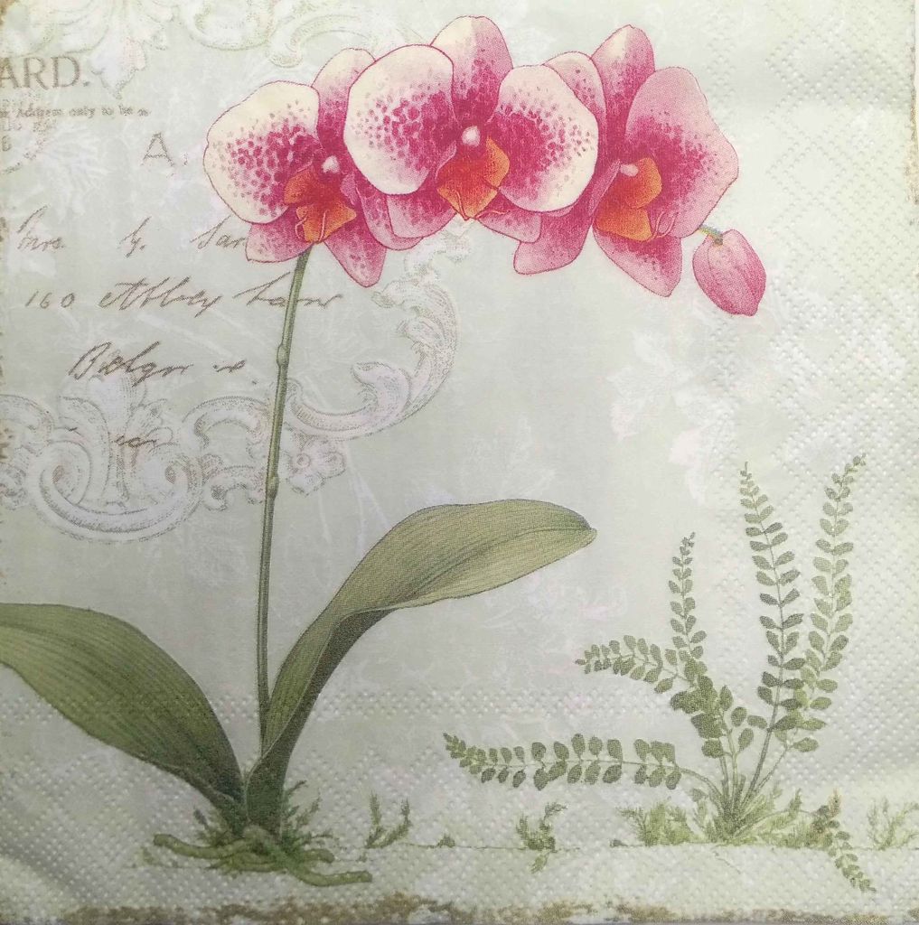 Decoupage Napkin / Tissue papers - GT1923
