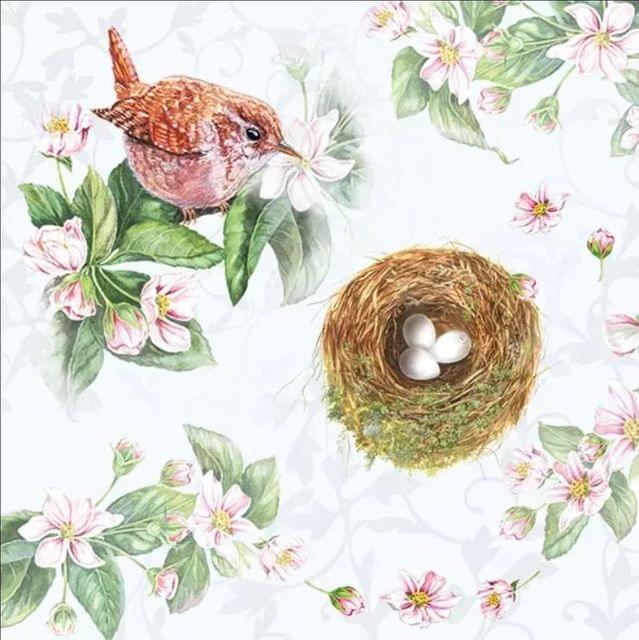 Decoupage Napkin / Tissue papers - 33cm by 33cm -   GT2806