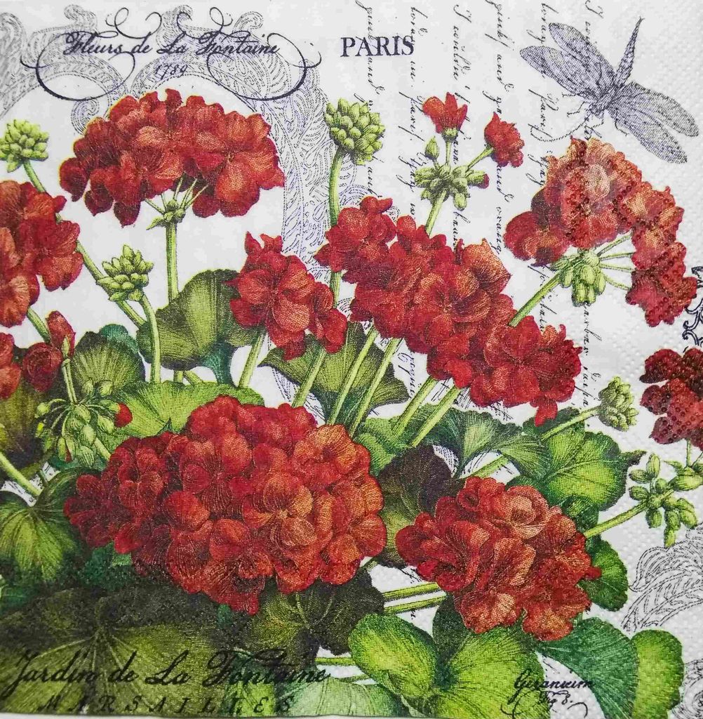 Decoupage Napkin / Tissue papers - 25cm*25cm - GT3206