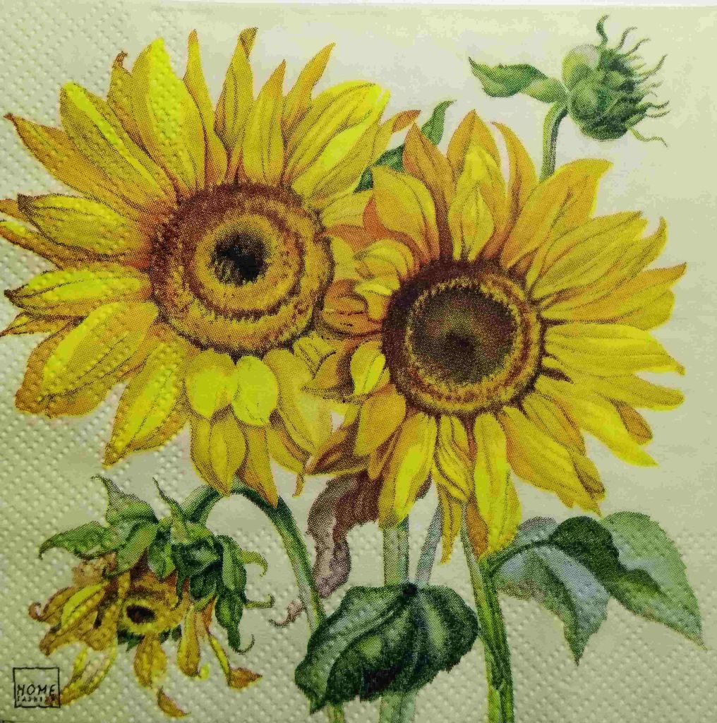 Decoupage Napkin / Tissue papers - 25cm*25cm - GT3229