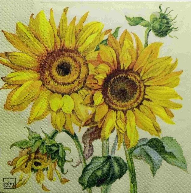 Decoupage Napkin / Tissue papers - 25cm*25cm - GT3229