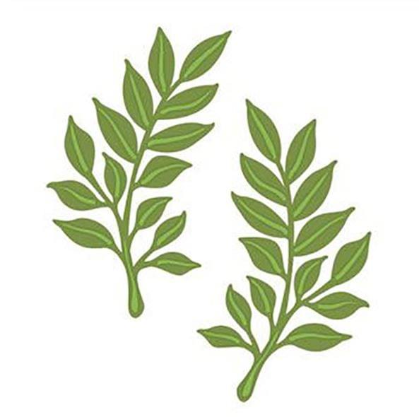 Brand Zero Die - 2 Pieces Leaves Frame Metal Cutting Dies 7.6 x 7.0 CM