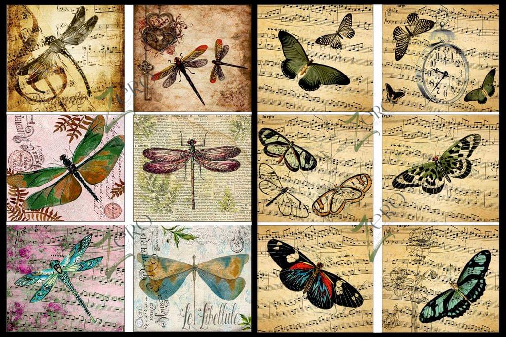Brand Zero Luxury Speciality Decoupage Paper - Fly High