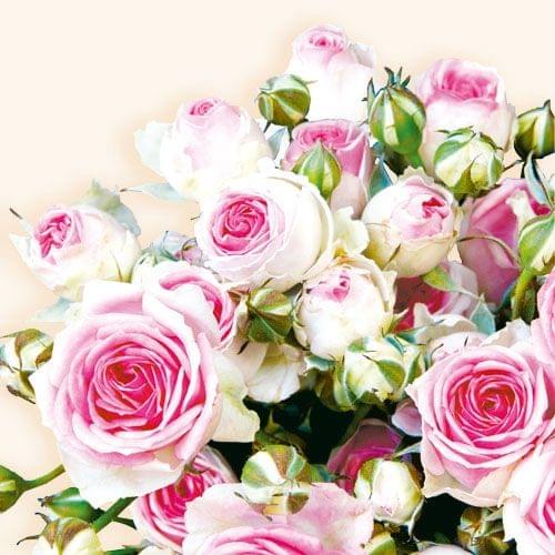 Decoupage Napkin / Tissue papers - 33cm by 33cm - GT3280