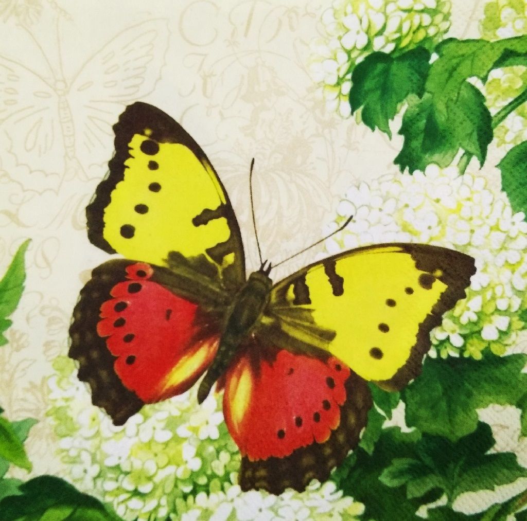 Decoupage Napkin / Tissue papers - GT1032