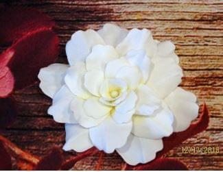 Imported Stencils- 5"*5"- Combo of 5 Floral Petals Background