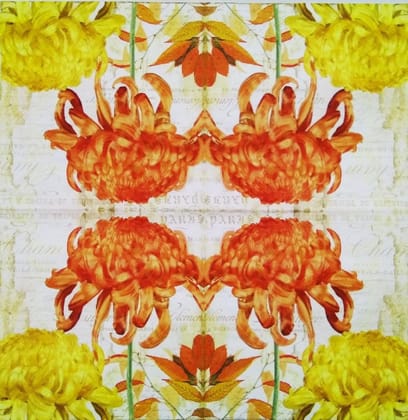 Decoupage Napkin / Tissue papers - GT1582