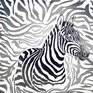 Decoupage Napkin / Tissue papers - GT2061