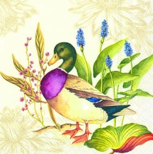 Decoupage Napkin / Tissue papers - GT2241