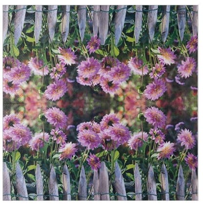 Decoupage Napkin / Tissue papers - 33cm*33cm  - GT3016