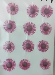 Dry Pressed Flowers - DF46-16