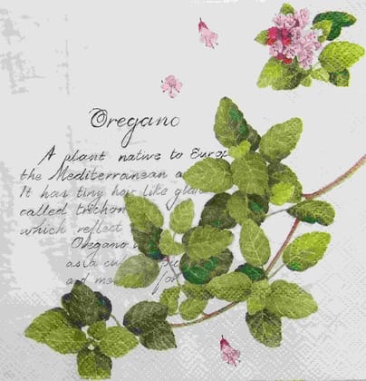 Decoupage Napkin / Tissue papers - GT1686 Decoupage Napkin / Tissue papers - GT1686