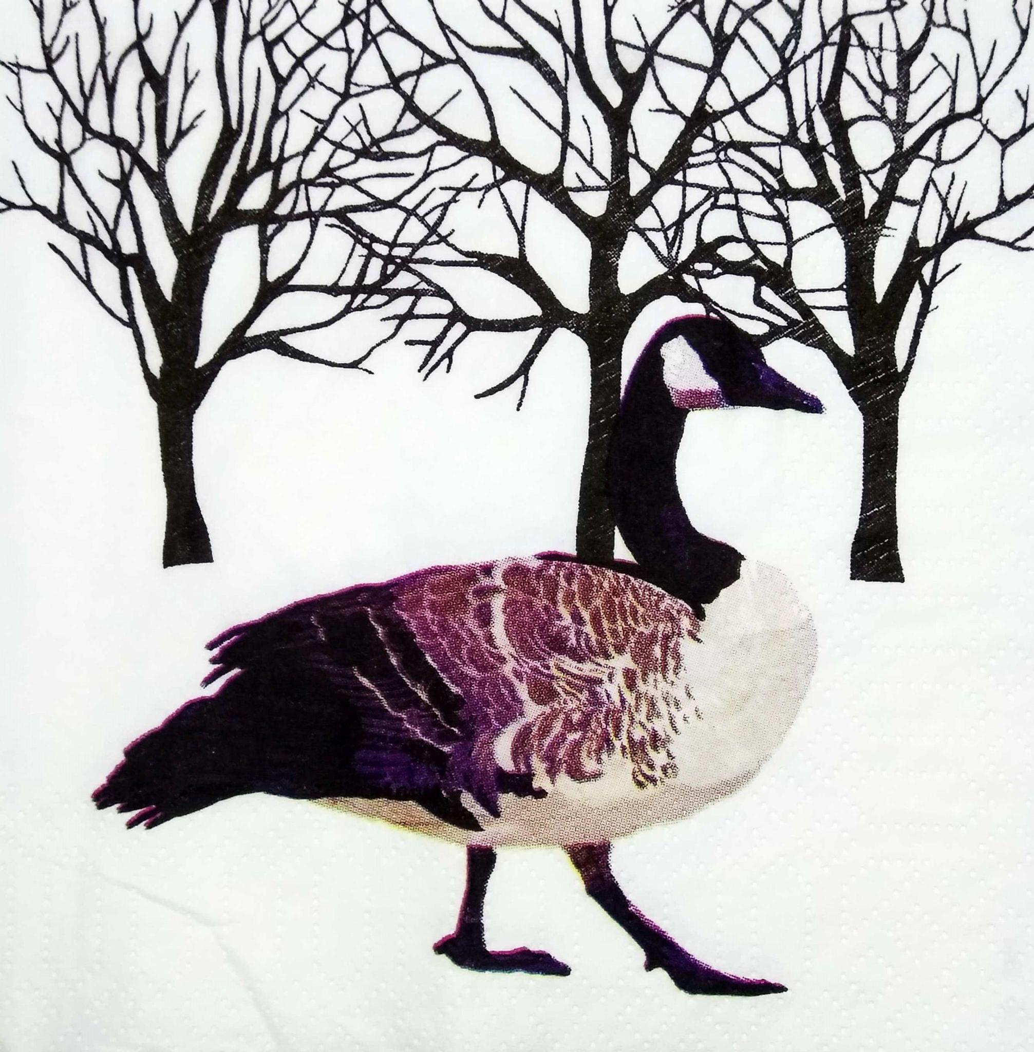 Decoupage Napkin / Tissue papers - 25cm*25cm - GT3162