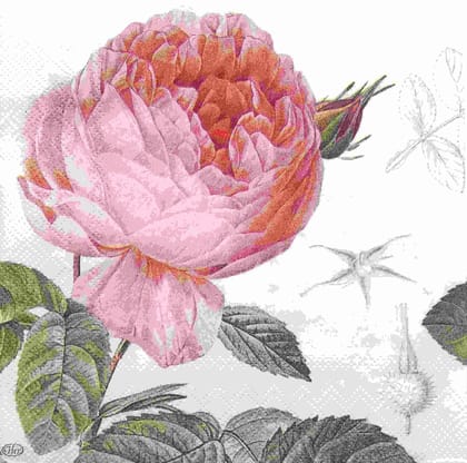 Decoupage Napkin / Tissue papers - GT1803