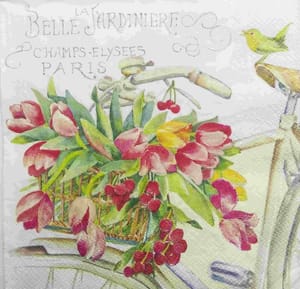 Decoupage Napkin / Tissue papers - GT1760