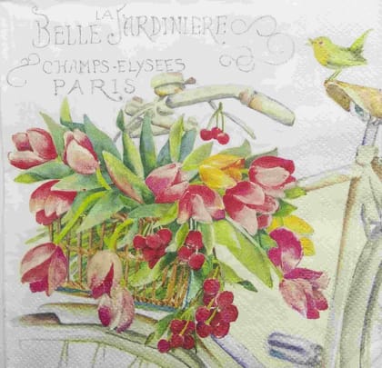 Decoupage Napkin / Tissue papers - GT1760