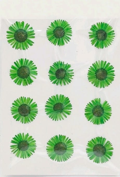 Dry Pressed Flowers - DF46-3