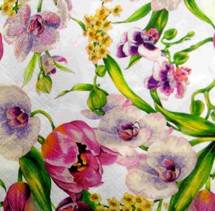 Decoupage Napkin / Tissue papers - DGT1911