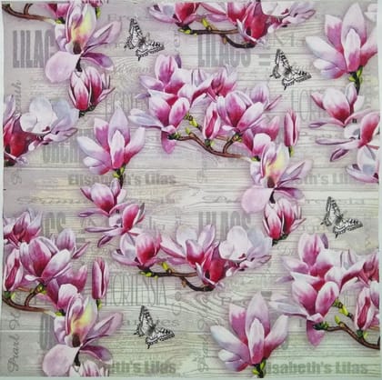 Decoupage Napkin / Tissue papers - 33cm by 33cm - GT1029