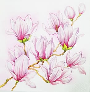 Decoupage Napkin / Tissue papers - 33cm by 33cm - GT1005