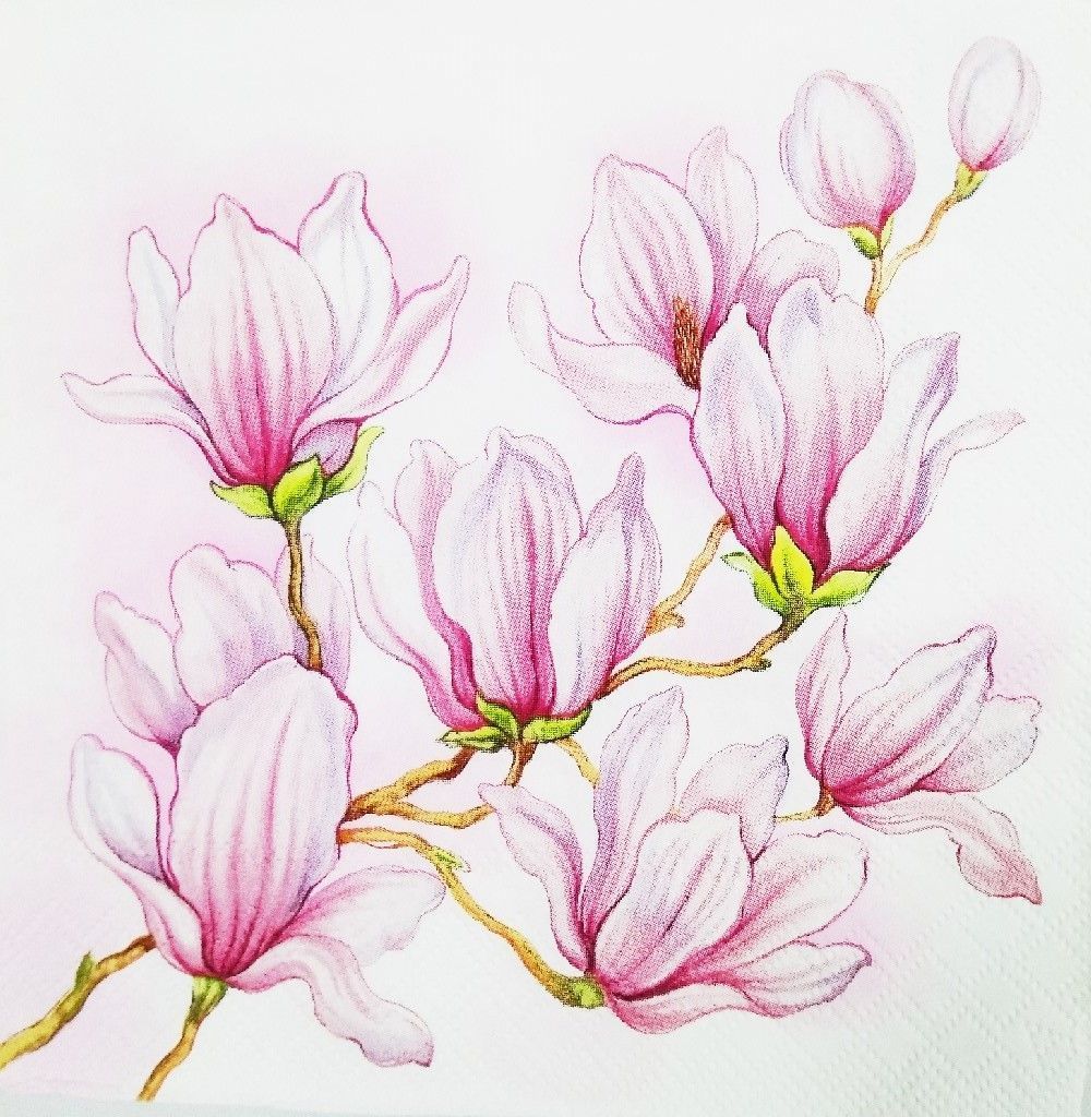 Decoupage Napkin / Tissue papers - 33cm by 33cm - GT1005