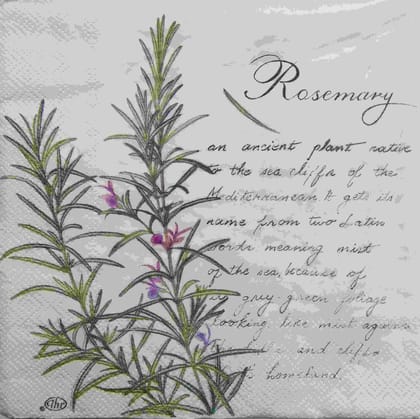 Decoupage Napkin / Tissue papers - GT1687