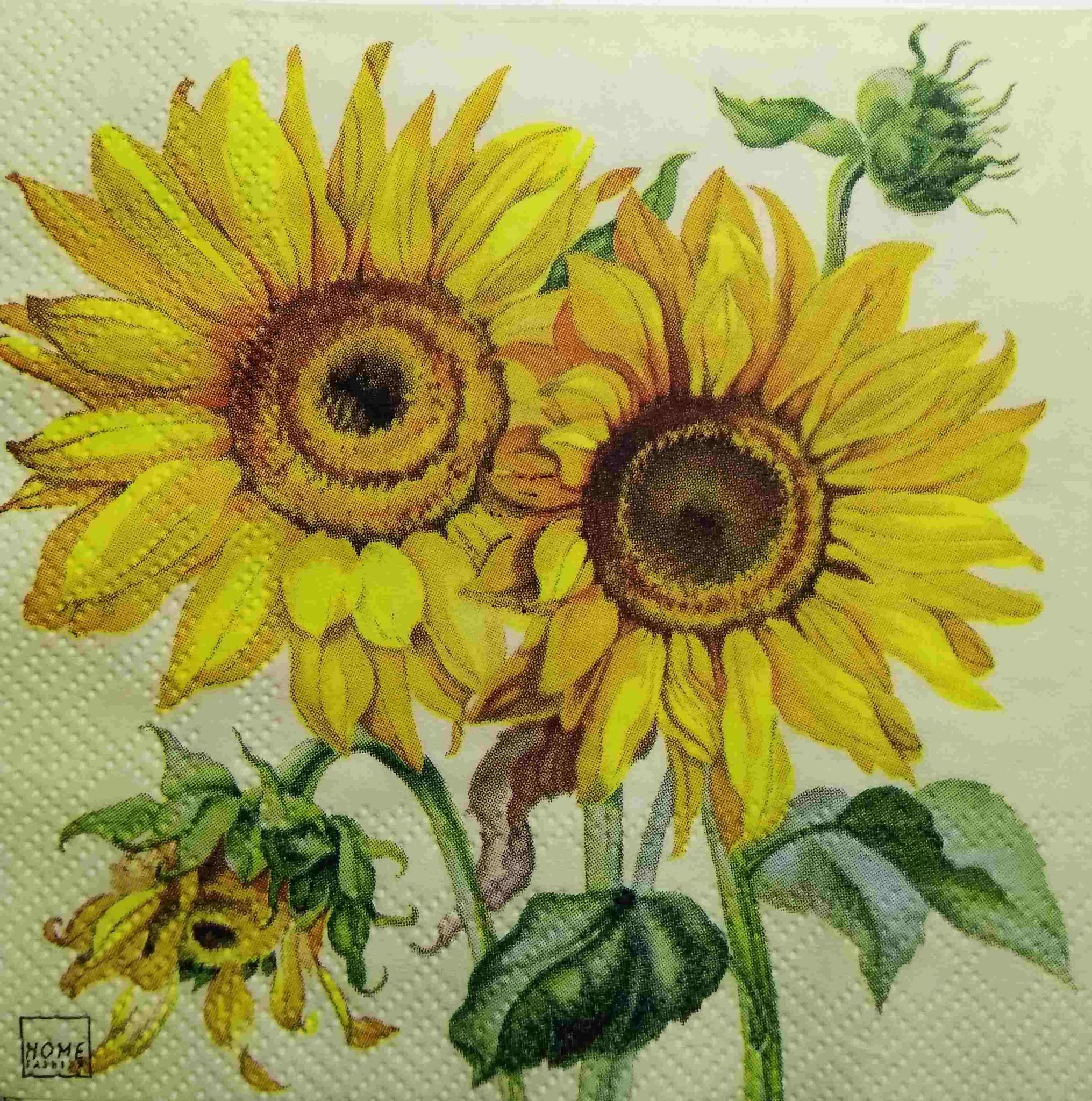 Decoupage Napkin / Tissue papers - 25cm*25cm - GT3229