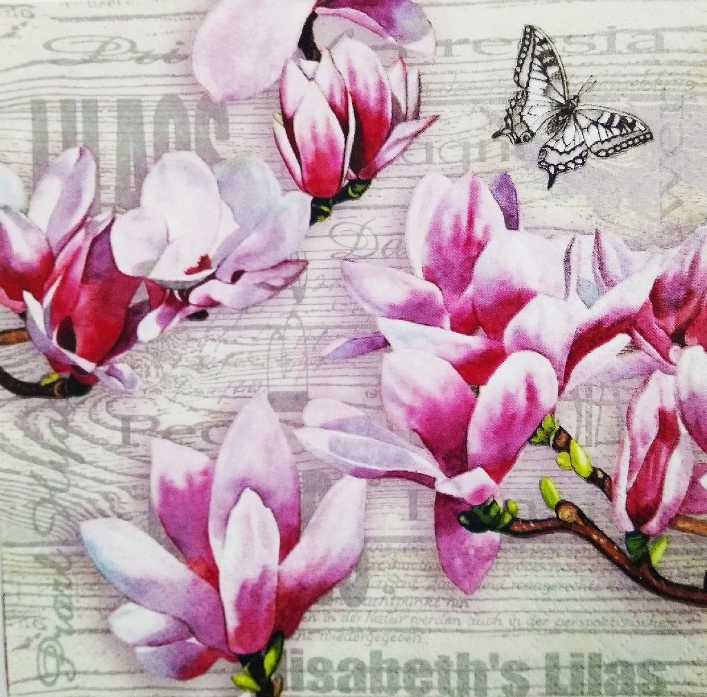 Decoupage Napkin / Tissue papers - 33cm by 33cm - GT1029