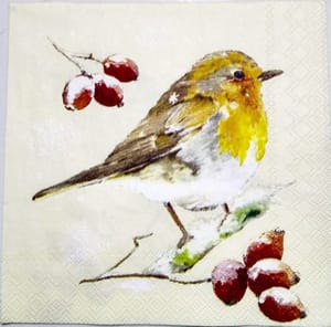 Decoupage Napkin / Tissue papers - 25cm*25cm - GT3177