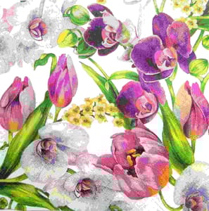 Decoupage Napkin / Tissue papers - DGT1911