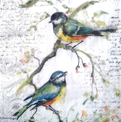 Decoupage Napkin / Tissue papers - GT2053 - 25cm*25cm