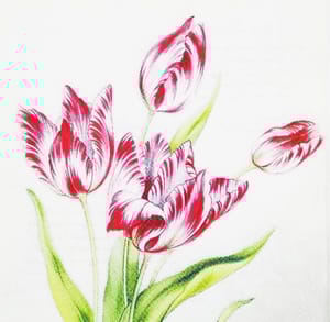 Decoupage Napkin / Tissue papers - 33cm by 33cm - GT1105