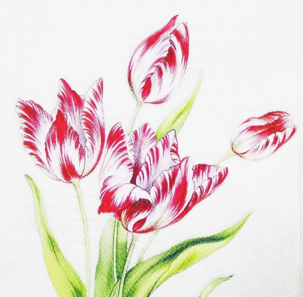 Decoupage Napkin / Tissue papers - 33cm by 33cm - GT1105