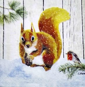 Decoupage Napkin / Tissue papers - 25cm*25cm - GT3164