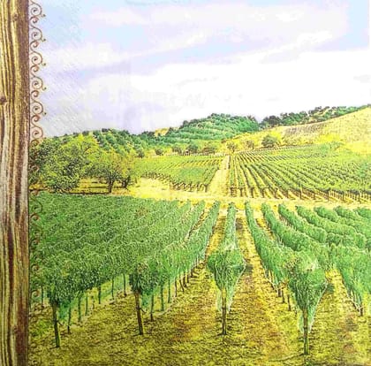 2 Ply Decoupage Napkin / Tissue papers - GT2163