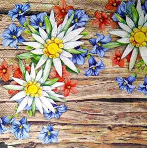 Decoupage Napkin / Tissue papers - GT2118 Decoupage Napkin / Tissue papers - GT2118