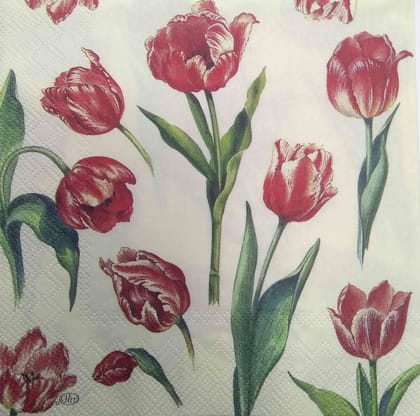 Decoupage Napkin / Tissue papers - GT1937