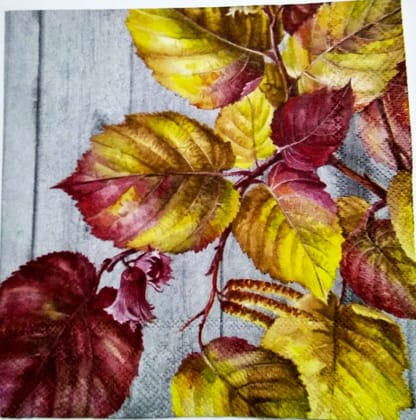 Decoupage Napkin / Tissue papers - 25cm*25cm - GT3233